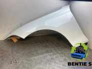 Kotflügel links vorne BMW 1er F20 41007284645