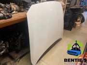 Motorhaube BMW 1er F20 41007290942