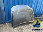Motorhaube BMW 3er Touring F31 41007290944