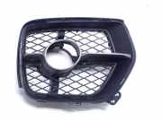 Kühlergrill rechts BMW X6 E71, E72 51117176278