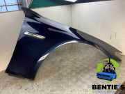 Kotflügel rechts vorne BMW 5er Touring F11 41357248660