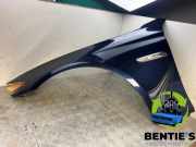 Kotflügel links vorne BMW 5er Touring F11 41357248659