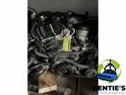 Motor ohne Anbauteile (Benzin) BMW 1er E81 11000439140