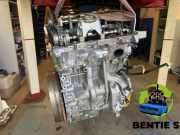 Motor ohne Anbauteile (Benzin) BMW X1 U11 11005A64D42