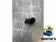 Sensor für Einparkhilfe BMW 3er E90 6934308
