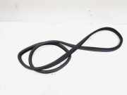 Türgummi links hinten Land Rover Range Rover Sport L320 CFE000771