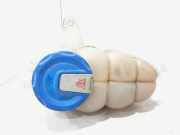 Ausgleichsbehälter Audi A4 Avant 8W, B9 8W0121405E