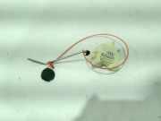 Stellmotor Tankklappe Audi A3 8P 8P0862153A