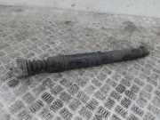 Stoßdämpfer links hinten Peugeot RCZ 5102FY