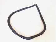 Türgummi rechts vorne VW Passat B6 CC 357 3C8867911A