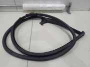 Türgummi links vorne Audi A5 Sportback 8TA 8T8831707C