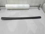 Schutzleiste Tür VW Caddy III Kasten 2KA 2K0853536E