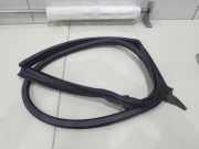 Türgummi rechts hinten Audi A5 Sportback 8TA 8T8833708F