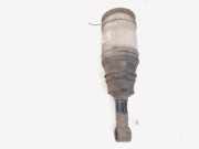 Stoßdämpfer links hinten Land Rover Range Rover Sport L320 RPD501020