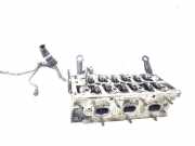 Zylinderkopf Audi Q5 8R 059103263A