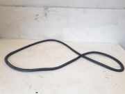 Türgummi links vorne Audi Q5 8R 8R0831721E