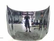 Motorhaube Volvo V90 II 235 32244153
