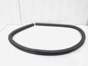 Türgummi rechts vorne Audi A3 Cabriolet 8P 8P7831707B