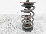 Feder hinten Mercedes-Benz Vito/Mixto Kasten W639 A6393242904