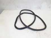 Türgummi rechts hinten VW Golf VI 5K 5K6867913