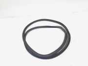 Türgummi links hinten Audi Q5 8R 8R0833721E