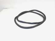 Türgummi links vorne VW Passat B7 Variant 365 3C4867911C