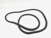 Türgummi rechts vorne VW Golf VII 5G 5GE867912A