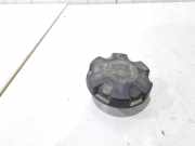 Sonstiges Teil BMW X1 E84 17117639020