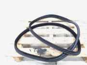 Türgummi rechts hinten Land Rover Range Rover Evoque I L538 BJ32253A10AC