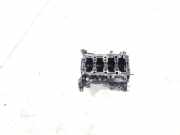 Motor ohne Anbauteile (Benzin) Fiat Doblo Kasten 263 55229567