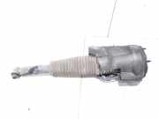 Federbein rechts hinten Audi A8 4H 4H0616002M