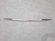 Dachreling links VW Tiguan II AD 5NA860043