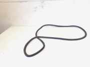 Türgummi rechts hinten Audi Q5 8R 8R0833721E