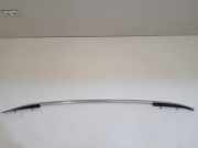 Dachreling links VW Tiguan I 5N 5N0860025