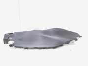 Schließplatte Suzuki Baleno EW, FW 7582168P0