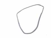 Türgummi links vorne Toyota C-HR X1