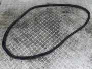 Türgummi links hinten VW Golf VIII CD 5H4867913A