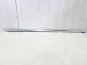 Schutzleiste Tür Audi A4 Avant 8W, B9 8W0853284E