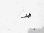 Sensor für Kraftstofftemperatur Audi Q3 8U 04E919501B