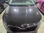 Motorhaube Skoda Fabia III NJ 6V0823031F