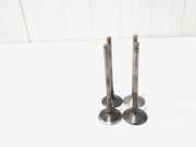 Einlassventil Audi A4 Avant 8K, B8 06D109601M