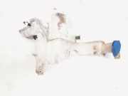 Behälter Scheibenwaschanlage VW Passat B6 Variant 3C5 3C0955453P