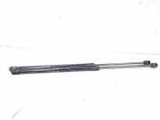 Heckklappendämpfer Hyundai i20 III BC3, BI3 81841Q0000