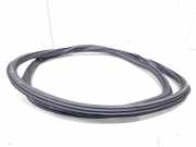 Türgummi rechts vorne Audi A4 Avant 8W, B9 8W0831721B