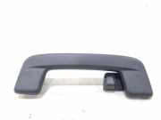 Haltegriff Audi Q4 e-tron F4B 5H0857643