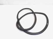 Türgummi rechts vorne Audi A3 Limousine 8V 8V5831721A