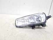 Nebelscheinwerfer links vorne Ford Transit Custom V362 Bus F3 F1EB15A255AB