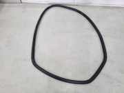 Türgummi rechts hinten VW Polo V 6R, 6C 6R6867912C