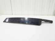 Schutzleiste Tür VW Polo VI AW 2G4837902F