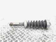 Stoßdämpfer links hinten Audi Q7 4L 7L8513029H